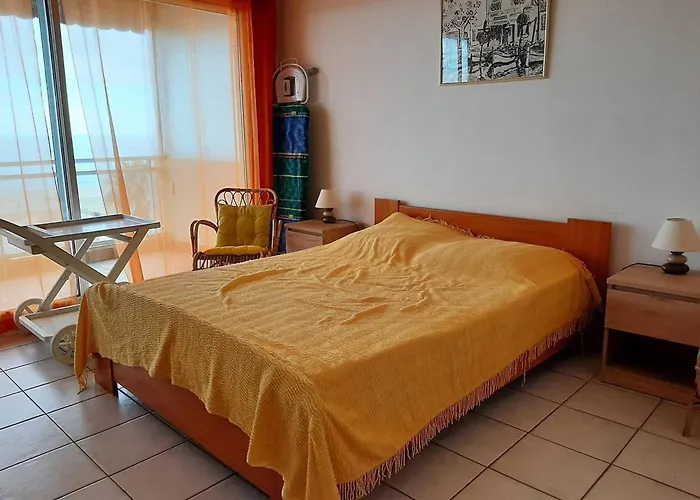 T2 Renove Face Avec Balcon Au Canet-plage, 4 Pers - Fr-1-696-127