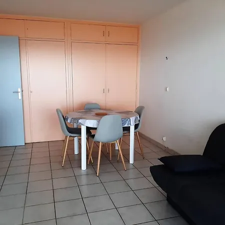 Daire T2 Renove Face Avec Balcon Au Canet-plage, 4 Pers - Fr-1-696-127 Canet-en-Roussillon
